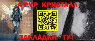 молекула духа Вышний Волочёк