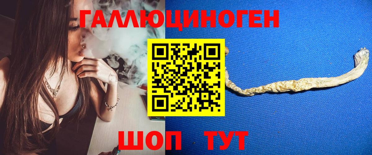 Галлюциногенные грибы Psilocybe  Вход с VPN  Псилоцибиновые грибы Cubensis  Новоуральск 
