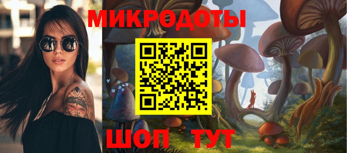 Псилоцибиновые грибы Psilocybine cubensis Новоуральск